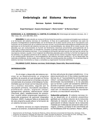 385
Int. J. Med. Surg. Sci.,
2(1):385-400, 2015.
Embriología del Sistema Nervioso
Nervous System Embriology
Ángel Rodríguez*
; Susana Domínguez**
; Mario Cantín***
& Mariana Rojas**
RODRIGUEZ, A. R.; DOMINGUEZ, S.; CANTIN, M. & ROJAS, M. Embriología del sistema nervioso. Int. J.
Med. Surg. Sci., 2(1):385-400, 2015.
RESUMEN: En este estudio se revisa en forma breve los eventos y procesos principales que conducen
a la formación del sistema nervioso en mamíferos. A fines de la gastrulación, comienzan una serie de
procesos morfogenéticos fundamentales con la formación de la placa neural (inicio de la neurulación) que
culminan con la consecución de un sistema nervioso normal. Los primordios embriológicos ectodérmicos que
participan en la formación del sistema nervioso son el neuroectoblasto, las células de la cresta neural y las
placodas que van evolucionando en función de fenómenos inductivos provenientes principalmente de la
notocorda, la placa precordal y el ectoderma. Durante el período embrionario se consolida el plan de desa-
rrollo definitivo del sistema nervioso: 1) se completa la formación del tubo neural una vez que se cierran los
neuroporos craneal y caudal; 2) se invaginan las diferentes placodas para contribuir a formar los órganos de
los sentidos y los ganglios sensitivos de la cabeza; 3) células de las crestas neurales migran para dar origen
a los constituyentes sensitivos y neurovegetativos del sistema nervioso periférico y 4) se desarrollan las
vesículas encefálicas, de las cuales van a derivar todos los constituyentes del encéfalo. En el período fetal el
sistema nervioso incrementa su masa y consolida su organización funcional definitiva.
PALABRAS CLAVE: Sistema nervioso; Embriología; Desarrollo; Neuroembriología.
INTRODUCCIÓN
En el origen y desarrollo del sistema ner-
vioso se va desenvolviendo un programa
genético de acuerdo al cual emergen en forma
más o menos secuencial en el tiempo una serie
concatenada de procesos embriológicos funda-
mentales que se inician con la inducción prima-
ria y eventos asociados, seguido por la
neurulación primaria; neurulación secundaria;
proliferación celular; migración celular;
agregaciones celulares; diferenciación celular
(neuronal, glial); establecimiento de conexio-
nes; muerte celular programada (apoptosis) y
desarrollo progresivo de patrones integrados
(Carlson, 2005). Cualquier falla en el desarrollo
de este programa puede alterar la formación de
un sistema nervioso normal.
El Sistema nervioso se origina temprana-
mente en el embrión, fundamentalmente a partir
de tres estructuras de origen ectodérmico: 1) La
placa neural junto con 2) las crestas neurales que
derivan de un “neuroectoderma primitivo preso-
mítico”, correspondiente a la zona del epiblasto
denominada neuroectoblasto y 3) las placodas
que se forman a partir del ectoderma definitivo
durante el período somítico. Los primeros even-
tos que conducen a la formación del sistema ner-
vioso son: la inducción primaria, la neurulación
primaria y la neurulación secundaria.
Inducción primaria. El sistema nervioso ini-
cia su desarrollo en el embrión presomítico
gatillado por el efecto inductor de la notocorda
(llamado el inductor primario). A fines de la
gastrulación el efecto inductor de la notocorda
mediado por moléculas de activación tales como
nogina, cordina y el factor 8 de crecimiento de
los fibroblastos (FGF-8) (Carlson; Mason, 2007),
*
Departamento de Morfología, Facultad de Medicina, Clínica Alemana-Universidad del Desarrollo, Santiago, Chile.
**
Programa de Anatomía y Biología del Desarrollo, ICBM, Facultad de Medicina, Universidad de Chile, Santiago, Chile.
***
Centro de Investigación en Morfología Aplicada, Universidad de La Frontera, Temuco, Chile.
 
