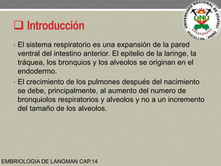  Introducción
• El sistema respiratorio es una expansión de la pared
ventral del intestino anterior. El epitelio de la la...