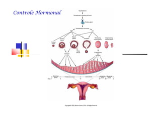 Controle HormonalControle HormonalControle HormonalControle HormonalControle HormonalControle HormonalControle HormonalControle Hormonal
 