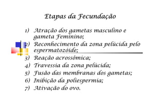 1)1) Atração dos gametas masculino eAtração dos gametas masculino e
gameta Feminino;gameta Feminino;
2)2) Reconhecimento da zona pelúcida peloReconhecimento da zona pelúcida pelo
espermatozóide;espermatozóide;
3)3) Reação acrossômica;Reação acrossômica;
Etapas da FecundaçãoEtapas da FecundaçãoEtapas da FecundaçãoEtapas da FecundaçãoEtapas da FecundaçãoEtapas da FecundaçãoEtapas da FecundaçãoEtapas da Fecundação
3)3) Reação acrossômica;Reação acrossômica;
4)4) Travessia da zona pelúcida;Travessia da zona pelúcida;
5)5) Fusão das membranas dos gametas;Fusão das membranas dos gametas;
6)6) Inibição da poliespermia;Inibição da poliespermia;
7)7) Ativação do ovo.Ativação do ovo.
 