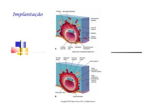 ImplantaçãoImplantaçãoImplantaçãoImplantaçãoImplantaçãoImplantaçãoImplantaçãoImplantação
 