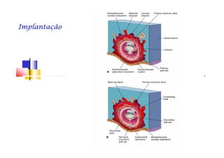 ImplantaçãoImplantaçãoImplantaçãoImplantaçãoImplantaçãoImplantaçãoImplantaçãoImplantação
 