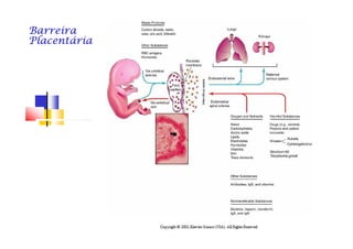 BarreiraBarreiraBarreiraBarreiraBarreiraBarreiraBarreiraBarreira
PlacentáriaPlacentáriaPlacentáriaPlacentáriaPlacentáriaPlacentáriaPlacentáriaPlacentária
 