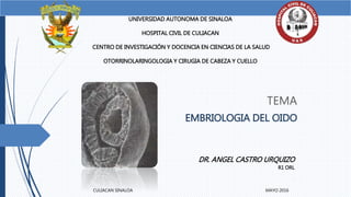 TEMA
EMBRIOLOGIA DEL OIDO
UNIVERSIDAD AUTONOMA DE SINALOA
HOSPITAL CIVIL DE CULIACAN
CENTRO DE INVESTIGACIÓN Y DOCENCIA EN CIENCIAS DE LA SALUD
OTORRINOLARINGOLOGIA Y CIRUGIA DE CABEZA Y CUELLO
DR. ANGEL CASTRO URQUIZO
R1 ORL
CULIACAN SINALOA MAYO 2016
 