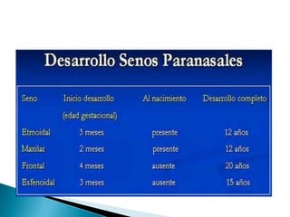 Embriologia de senos paranasales