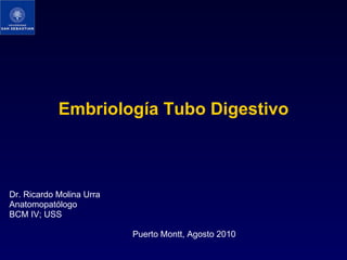 Embriología Tubo Digestivo Dr. Ricardo Molina Urra Anatomopatólogo BCM IV; USS   Puerto Montt, Agosto 2010 