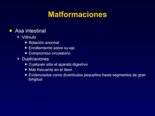 Malformaciones Asa intestinal Vólvulo Rotación anormal Enrollamiento sobre su eje Compromiso circulatorio Duplicaciones Cualquier sitio el aparato digestivo Más frecuente en el íleon Evidenciados como divertículos pequeños hasta segmentos de gran longitud 
