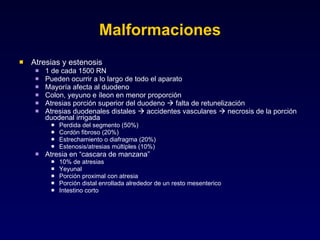 Malformaciones Atresias y estenosis 1 de cada 1500 RN Pueden ocurrir a lo largo de todo el aparato Mayoría afecta al duodeno Colon, yeyuno e íleon en menor proporción Atresias porción superior del duodeno    falta de retunelización Atresias duodenales distales    accidentes vasculares    necrosis de la porción duodenal irrigada Perdida del segmento (50%) Cordón fibroso (20%) Estrechamiento o diafragma (20%) Estenosis/atresias múltiples (10%) Atresia en “cascara de manzana” 10% de atresias Yeyunal Porción proximal con atresia Porción distal enrollada alrededor de un resto mesenterico Intestino corto 