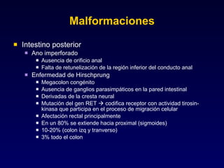 Malformaciones Intestino posterior Ano imperforado Ausencia de orificio anal  Falta de retunelización de la región inferior del conducto anal Enfermedad de Hirschprung Megacolon congénito Ausencia de ganglios parasimpáticos en la pared intestinal Derivadas de la cresta neural Mutación del gen RET    codifica receptor con actividad tirosin-kinasa que participa en el proceso de migración celular Afectación rectal principalmente En un 80% se extiende hacia proximal (sigmoides) 10-20% (colon izq y tranverso) 3% todo el colon 