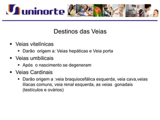 Destinos das Veias
 Veias vitelínicas
 Darão origem a: Veias hepáticas e Veia porta
 Veias umbilicais
 Após o nascimento se degeneram
 Veias Cardinais
 Darão origem a :veia braquiocefálica esquerda, veia cava,veias
ilíacas comuns, veia renal esquerda, as veias gonadais
(testículos e ovários)
 