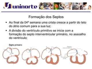 Formação dos Septos
 Ao final da 04º semana uma crista cresce a partir do teto
do átrio comum para a sua luz;
 A divisão do ventrículo primitivo se inicia com a
formação do septo interventricular primário, no assoalho
do ventrículo;
 