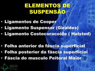• Ligamentos de Cooper
• Ligamento Suspensor (Giraldes)
• Ligamento Costocoracoide ( Halsted)
• Folha anterior da fáscia superficial
• Folha posterior da fáscia superficial
• Fáscia do musculo Peitoral Maior
ELEMENTOS DE
SUSPENSÃO
 