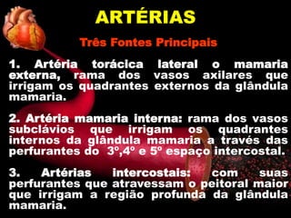 ARTÉRIAS
Três Fontes Principais
1. Artéria torácica lateral o mamaria
externa, rama dos vasos axilares que
irrigam os quadrantes externos da glândula
mamaria.
2. Artéria mamaria interna: rama dos vasos
subclávios que irrigam os quadrantes
internos da glândula mamaria a través das
perfurantes do 3º,4º e 5º espaço intercostal.
3. Artérias intercostais: com suas
perfurantes que atravessam o peitoral maior
que irrigam a região profunda da glândula
mamaria.
 