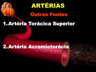 ARTÉRIAS
Outras Fontes
1.Artéria Torácica Superior
2.Artéria Acromiotorácia
 