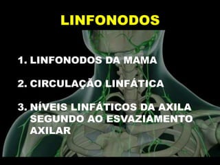 LINFONODOS
1. LINFONODOS DA MAMA
2. CIRCULAÇÃO LINFÁTICA
3. NÍVEIS LINFÁTICOS DA AXILA
SEGUNDO AO ESVAZIAMENTO
AXILAR
 