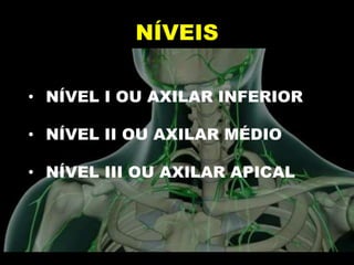 NÍVEIS
• NÍVEL I OU AXILAR INFERIOR
• NÍVEL II OU AXILAR MÉDIO
• NÍVEL III OU AXILAR APICAL
 