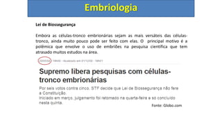 Lei de Biossegurança
Embora as células-tronco embrionárias sejam as mais versáteis das células-
tronco, ainda muito pouco pode ser feito com elas. O principal motivo é a
polêmica que envolve o uso de embriões na pesquisa científica que tem
atrasado muitos estudos na área.
Embriologia
Fonte: Globo.com
 