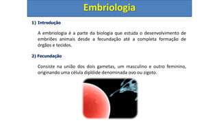 1) Introdução
A embriologia é a parte da biologia que estuda o desenvolvimento de
embriões animais desde a fecundação até a completa formação de
órgãos e tecidos.
2) Fecundação
Consiste na união dos dois gametas, um masculino e outro feminino,
originando uma célula diplóide denominada ovo ou zigoto.
Embriologia
 