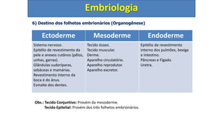 6) Destino dos folhetos embrionários (Organogênese)
Embriologia
Ectoderme Mesoderme Endoderme
Sistema nervoso.
Epitélio de revestimento da
pele e anexos cutânos (pêlos,
unhas, garras).
Glândulas sudoríparas,
sebáceas e mamárias.
Revestimento interno da
boca é do ânus.
Esmalte dos dentes.
Tecido ósseo.
Tecido muscular.
Derme.
Aparelho circulatório.
Aparelho reprodutor.
Aparelho excretor.
Epitélio de revestimento
interno dos pulmões, bexiga
e intestino.
Pâncreas e Fígado.
Uretra.
Obs.: Tecido Conjuntivo: Provém da mesoderme.
Tecido Epitelial: Provém dos três folhetos embrionários.
 