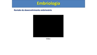 Revisão do desenvolvimento embrionário
Embriologia
Vídeo
 