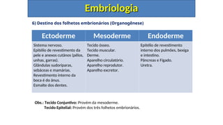 6) Destino dos folhetos embrionários (Organogênese)
Embriologia
Embriologia
Ectoderme Mesoderme Endoderme
Sistema nervoso.
Epitélio de revestimento da
pele e anexos cutânos (pêlos,
unhas, garras).
Glândulas sudoríparas,
sebáceas e mamárias.
Revestimento interno da
boca é do ânus.
Esmalte dos dentes.
Tecido ósseo.
Tecido muscular.
Derme.
Aparelho circulatório.
Aparelho reprodutor.
Aparelho excretor.
Epitélio de revestimento
interno dos pulmões, bexiga
e intestino.
Pâncreas e Fígado.
Uretra.
Obs.: Tecido Conjuntivo: Provém da mesoderme.
Tecido Epitelial: Provém dos três folhetos embrionários.
 
