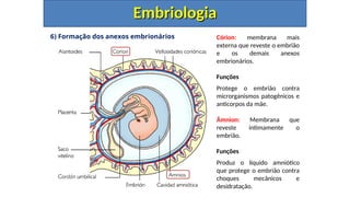 6) Formação dos anexos embrionários
Embriologia
Embriologia
Córion: membrana mais
externa que reveste o embrião
e os demais anexos
embrionários.
Funções
Protege o embrião contra
microrganismos patogênicos e
anticorpos da mãe.
Âmnion: Membrana que
reveste intimamente o
embrião.
Funções
Produz o líquido amniótico
que protege o embrião contra
choques mecânicos e
desidratação.
 