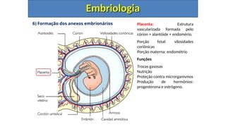 6) Formação dos anexos embrionários
Embriologia
Embriologia
Placenta: Estrutura
vascularizada formada pelo
córion + alantóide + endomério.
Porção fetal: vilosidades
coriônicas
Porção materna: endométrio
Funções
Trocas gasosas
Nutrição
Proteção contra microrganismos
Produção de hormônios:
progesterona e estrógeno.
 