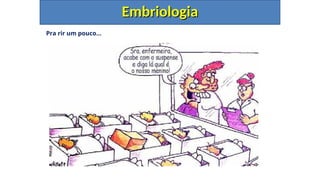 Pra rir um pouco...
Embriologia
Embriologia
 