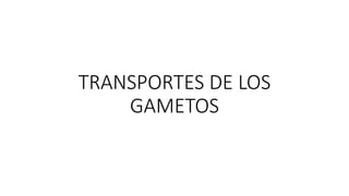 TRANSPORTES DE LOS 
GAMETOS 
 