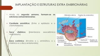 IMPLANTAÇÃO E ESTRUTURAS EXTRA EMBRIONÁRIAS
• Ainda na segunda semana, formam-se as
estruturas extraembrionárias:
▪ Cavidade amniótica; (Entre o epiblasto e o
citotrofoblasto)
▪ Saco vitelínico; (Membrana exocelômica
+hipoblasto)
▪ Saco coriônico; (Envolve o s. aminiótico, o s.
vitelínico e o disco embrionário)
 