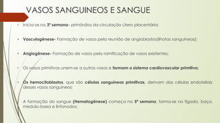 VASOS SANGUINEOS E SANGUE
• Inicia-se na 3ª semana- primórdios da circulação útero placentária;
• Vasculogênese- Formação de vasos pela reunião de angioblastos(ilhotas sanguíneas);
• Angiogênese- Formação de vasos pela ramificação de vasos existentes;
• Os vasos primitivos unem-se a outros vasos e formam o sistema cardiovascular primitivo;
• Os hemocitoblastos, que são células sanguíneas primitivas, derivam das células endoteliais
desses vasos sanguíneos;
• A formação do sangue (Hematogênese) começa na 5ª semana, forma-se no fígado, baço,
medula óssea e linfonodos;
 