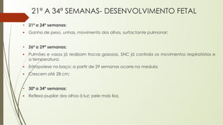 21ª A 34ª SEMANAS- DESENVOLVIMENTO FETAL
• 21ª a 24ª semanas:
▪ Ganho de peso, unhas, movimento dos olhos, surfactante pulmonar;
• 26ª a 29ª semanas:
▪ Pulmões e vasos já realizam trocas gasosas, SNC já controla os movimentos respiratórios e
a temperatura;
▪ Eritropoiese no baço; a partir de 29 semanas ocorre na medula;
▪ Crescem até 28 cm;
• 30ª a 34ª semanas:
▪ Reflexo pupilar dos olhos à luz; pele mais lisa,
 