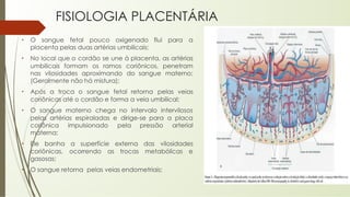 FISIOLOGIA PLACENTÁRIA
• O sangue fetal pouco oxigenado flui para a
placenta pelas duas artérias umbilicais;
• No local que o cordão se une à placenta, as artérias
umbilicais formam os ramos coriônicos, penetram
nas vilosidades aproximando do sangue materno;
(Geralmente não há mistura);
• Após a troca o sangue fetal retorna pelas veias
coriônicas até o cordão e forma a veia umbilical;
• O sangue materno chega no intervalo intervilosos
pelas artérias espiraladas e dirige-se para a placa
coriônica impulsionado pela pressão arterial
materna;
• Ele banha a superfície externa das vilosidades
coriônicas, ocorrendo as trocas metabólicas e
gasosas;
• O sangue retorna pelas veias endometriais;
 