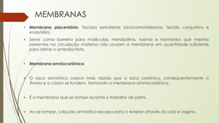 MEMBRANAS
• Membrana placentária- Tecidos extrafetais (sinciciotrofoblastos, tecido conjuntivo e
endotélio).
▪ Serve como barreira para moléculas, metabólitos, toxinas e hormônios que mesmo
presentes na circulação materna não cruzam a membrana em quantidade suficiente
para afetar o embrião/feto.
• Membrana amniocoriônica
▪ O saco amniótico cresce mais rápido que o saco coriônico, consequentemente o
Âmnio e o córion se fundem, formando a membrana amniocoriônica.
▪ É a membrana que se rompe durante o trabalho de parto.
▪ Ao se romper, o líquido amniótico escapa para o exterior através do colo e vagina.
 