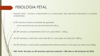 FISIOLOGIA FETAL
• Período fetal - ocorre o crescimento e a maturação das estruturas formadas no período
embrionário;
• A 20ª semana marca a metade da gravidez;
• O feto apresenta peso de aproximadamente 300 g.
• Na 28ª semana: comprimento 25-27 cm, peso fetal -1.100 g;
• Na 32ª semana, o feto tem cerca de 28 cm, com peso ao redor de 1.800 g.
• Na 40ª semana, o feto está completamente desenvolvido e com peso ao redor de 3.400g.
• OBS: Parto: 266 dias ou 38 semanas após fecundação = 280 dias ou 40 semanas da DUM.
 