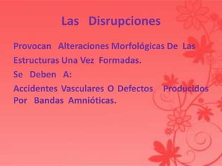 Las Disrupciones
Provocan Alteraciones Morfológicas De Las
Estructuras Una Vez Formadas.
Se Deben A:
Accidentes Vasculares O Defectos Producidos
Por Bandas Amnióticas.
 