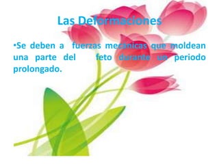 Las Deformaciones
•Se deben a fuerzas mecánicas que moldean
una parte del     feto durante un periodo
prolongado.
 