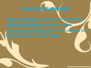 Causas De Anomalías
• Factores genéticos: anomalías cromosómicas
•Factores ambientales: fármacos y virus.
• La herencia multifactorial: Acción conjunta de
factores genéticos y ambientales.
 