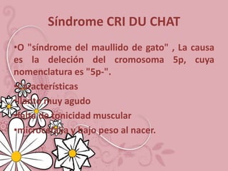 Síndrome CRI DU CHAT
•O "síndrome del maullido de gato" , La causa
es la deleción del cromosoma 5p, cuya
nomenclatura es "5p-".
•Características
•llanto muy agudo
•falta de tonicidad muscular
•microcefalia y bajo peso al nacer.
 