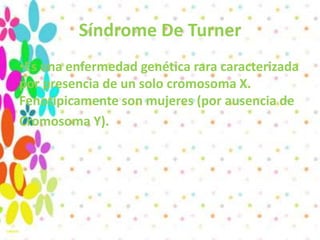 Síndrome De Turner
•Es una enfermedad genética rara caracterizada
por presencia de un solo cromosoma X.
Fenotípicamente son mujeres (por ausencia de
Cromosoma Y).
 