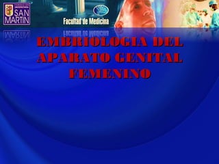EMBRIOLOGIA DEL
APARATO GENITAL
   FEMENINO
 