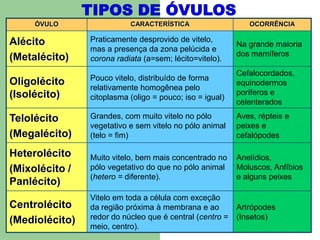 TIPOS DE ÓVULOS