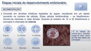 Etapas iniciais do desenvolvimento embrionário.
Zigoto 2 células 4 células
8 células Mórula Blástula
É no estágio de
mórula que o embrião
chega ao útero, cerca
de três dias depois da
concepção.
4
 