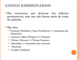 ANEXOS EMBRIONÁRIOS
 São estruturas que derivam dos folhetos
germinativos, mas que não fazem parte do corpo
do embrião.
 São elas:
 Vesícula Vitelínica ( Saco Vitelínico) => Armazém dos
Alimentos
 Amnion ( Bolsa D’água) => Proteção
 Córion ( Serosa) => Trocas Gasosas
 Alantóide => Armazém das excretas
 Placenta
 Cordão Umbilical
 