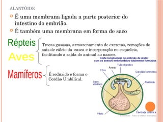 ALANTÓIDE
 É uma membrana ligada a parte posterior do
intestino do embrião.
 É também uma membrana em forma de saco
Trocas gasosas, armazenamento de excretas, remoções de
sais de cálcio da casca e incorporação no esqueleto,
facilitando a saída do animal ao nascer.
É reduzido e forma o
Cordão Umbilical.
 