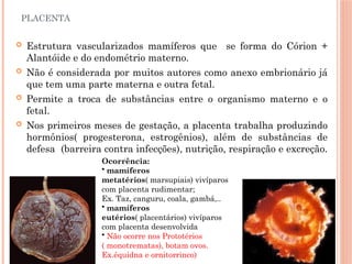 PLACENTA
 Estrutura vascularizados mamíferos que se forma do Córion +
Alantóide e do endométrio materno.
 Não é considerada por muitos autores como anexo embrionário já
que tem uma parte materna e outra fetal.
 Permite a troca de substâncias entre o organismo materno e o
fetal.
 Nos primeiros meses de gestação, a placenta trabalha produzindo
hormônios( progesterona, estrogênios), além de substâncias de
defesa (barreira contra infecções), nutrição, respiração e excreção.
Ocorrência:
• mamíferos
metatérios( marsupiais) vivíparos
com placenta rudimentar;
Ex. Taz, canguru, coala, gambá,..
• mamíferos
eutérios( placentários) vivíparos
com placenta desenvolvida
• Não ocorre nos Prototérios
( monotrematas), botam ovos.
Ex.équidna e ornitorrinco)
 
