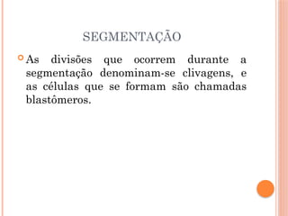 SEGMENTAÇÃO
 As divisões que ocorrem durante a
segmentação denominam-se clivagens, e
as células que se formam são chamadas
blastômeros.
 