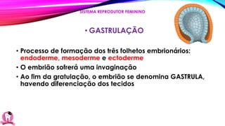 • GASTRULAÇÃO
• Processo de formação dos três folhetos embrionários:
endoderme, mesoderme e ectoderme
• O embrião sofrerá uma invaginação
• Ao fim da gratulação, o embrião se denomina GASTRULA,
havendo diferenciação dos tecidos
SISTEMA REPRODUTOR FEMININO
 