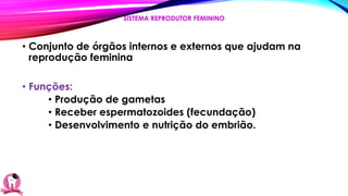 • Conjunto de órgãos internos e externos que ajudam na
reprodução feminina
• Funções:
• Produção de gametas
• Receber espermatozoides (fecundação)
• Desenvolvimento e nutrição do embrião.
SISTEMA REPRODUTOR FEMININO
 