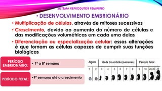 • DESENVOLVIMENTO EMBRIONÁRIO
• Multiplicação de células, através de mitoses sucessivas
• Crescimento, devido ao aumento do número de células e
das modificações volumétricas em cada uma delas
• Diferenciação ou especialização celular: essas alterações
é que tornam as células capazes de cumprir suas funções
biológicas
SISTEMA REPRODUTOR FEMININO
• 1º a 8º semana
PERÍODO
EMBRIONÁRIO:
•9º semana até o crescimento
PERÍODO FETAL:
 